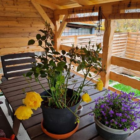 Готель Kakasdombi Apartman Балатонжабаді Екстер'єр фото